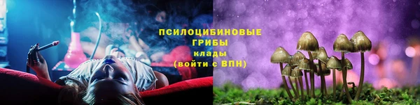 метадон Аркадак