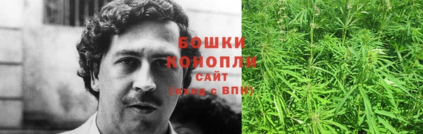 ешки Арсеньев