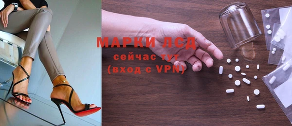 ECSTASY Болотное