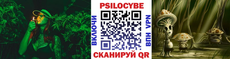 kraken вход  Ейск  Галлюциногенные грибы мицелий 