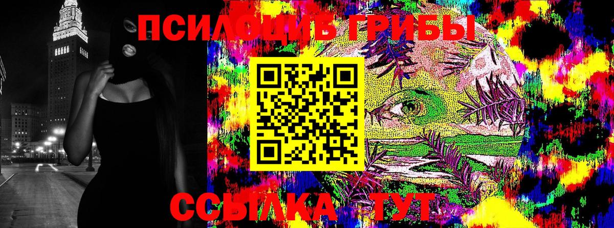 Псилоцибиновые грибы Psilocybe  Галлюциногенные грибы прущие грибы  Вход с VPN  Ейск 